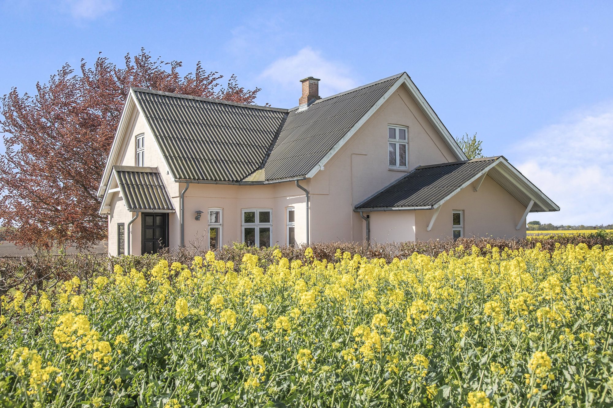 Vandrigsvej 26, Gevnø, 4660 Store Heddinge - Billede 1